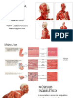 HISTOLOGIA Sistema - Muscular PDF