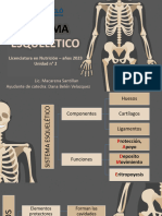 Clase #3 Sist. Oseo Parte 2