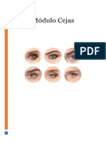 Módulo Cejas