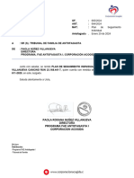 Pii0009. Plan de Intervención Individual Pablo Villanueva Cancino 25-03-2024