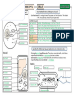 Cells Worksheet - KEY