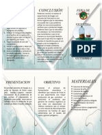 Triptico Proyecto