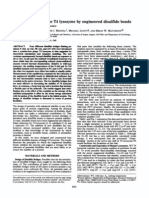 Stabilization of Phage T4 by Disulfide Bonds: Iysozyme Engineered