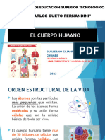 Actividad 1 El Cuerpo Humano