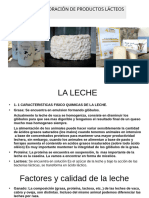 Elaboracion de Productos Lacteos