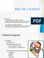 Anatomia de Craneo