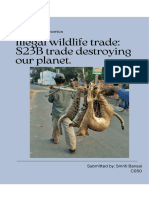 Illegal Wildlife Trade