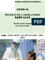 Coronavirus. Pruebas de Lab.