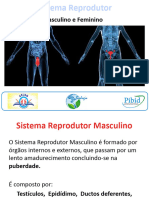 Sistema Reproduto Rfeminino e Masculino