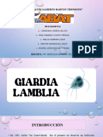 Giardia Lamblia - Parasitologia