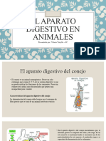 El Aparato Digestivo en ANIMALES