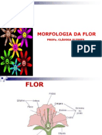 Aula Morfologia Da Flor Cludia