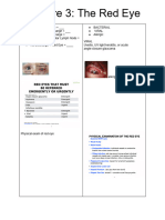 Lecture 3 Dreaded Red Eye