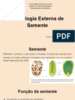 Aula Morfologia Externa de Semente