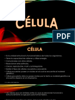 Célula-1