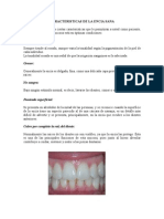 Caracteristicas de La Encia Sana