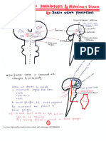 13 Drugs Used in Parkinson - S - Alzheimers Disease