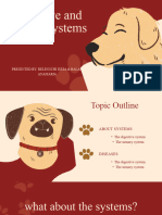 Urinary and Digestive Sistems in Dogs