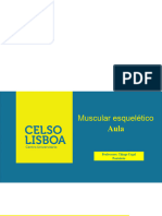 Aula 1 Ciclo 3 Superior Articulacao