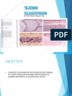 Clase Histologia Tejido Cartilaginoso