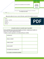 Ciencias Naturales Quinto Grado Clase 15