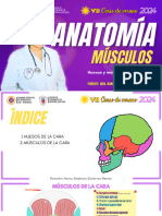 Anatomía - Músculos de La Cara