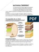 Trabajo Práctico Walter 1