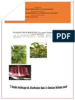 STAGE EN UNITE HORTICOLE (1er Année Techniciens Horticole) : L'Agriculture