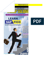 Pmsap S4fico-23