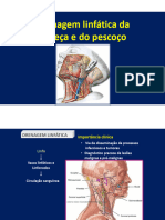 Aula de Drenagem Da Cabeça e Pescoço Parte II