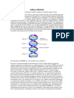 TAREA 4 Dalmases