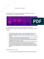 Qué Es La Electroforesis en Gel