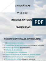 Números Naturales. Divisibilidad