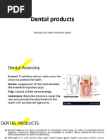 2.C 1-Dental