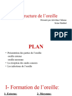 Structure de Loreille