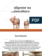 Biodigestornasuinocultura 170830204155