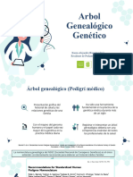 Arbol Genealógico Genético