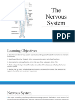 Nervous System