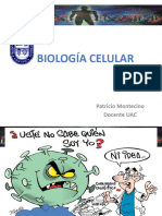 Introducción A Biología