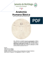 Aulas 06 Até 08 - Sistemas Circulatório Até Digestório