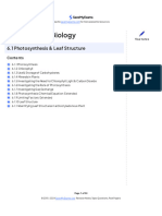 Savemyexams Igcse Biology Photosynthesis and Leaf Structure Worksheet