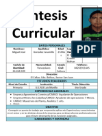 CURRICULUM Miguel