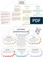 Mapa Conceptual Sistema Muscular