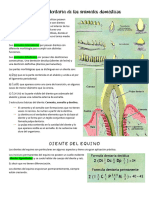 Anato 2 Anatomía Dentaria de Los Animales Domésticos