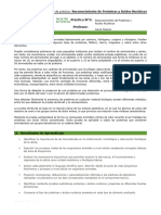 Practica #5 Reconocimiento de Proteínas y Ácidos Nucleicos