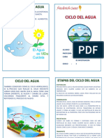 Ciclo Del Agua