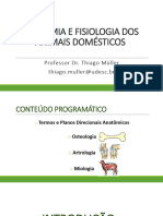 Aula 01 - Osteologia, Termos e Planos Direcionais