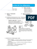 Clasificacion de Los Alimentos para Quinto de Primaria