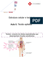 BCH Aula6 2022-1