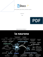 Anatomia de La Neuro 223438 Downloadable 2323950